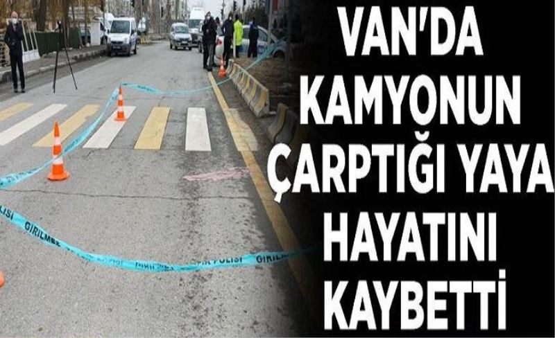 Van'da kamyonun çarptığı yaya hayatını kaybetti