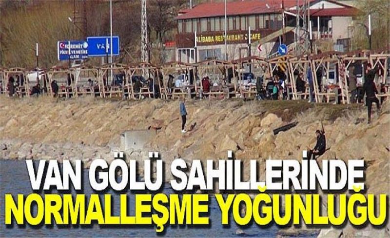 Van Gölü sahillerinde normalleşme yoğunluğu