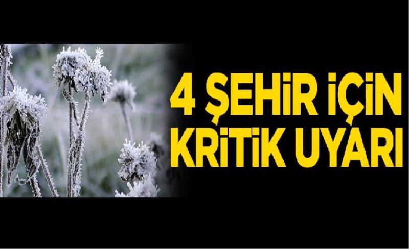 Van'ın da olduğu 4 şehir için kritik uyarı