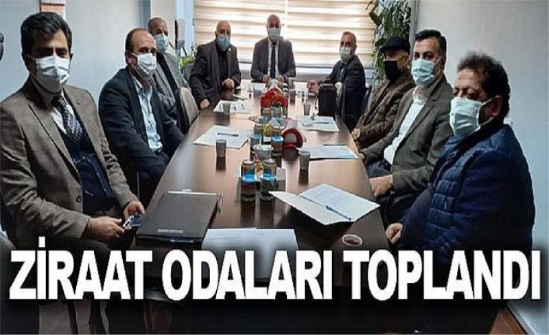 Ziraat Odaları toplandı