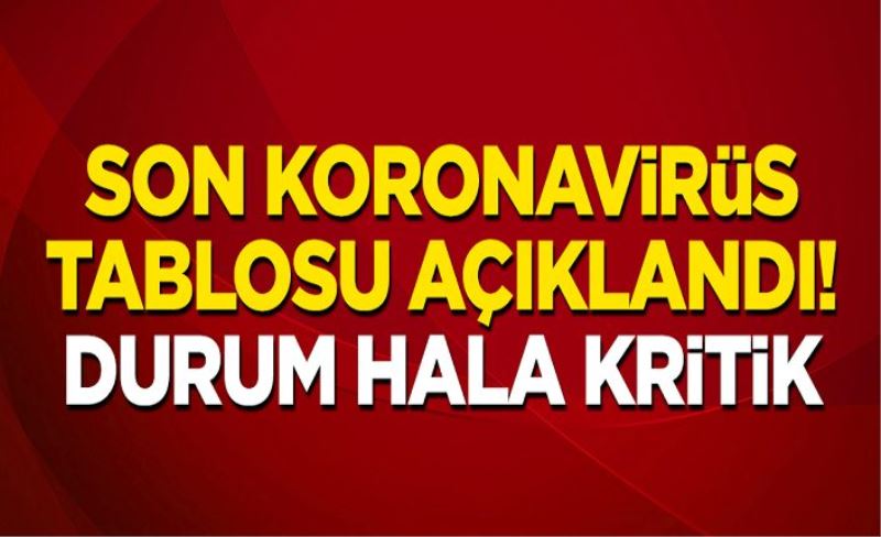 13 Nisan koronavirüs tablosu! Vaka, Hasta, ölü sayısı ve son durum açıklandı