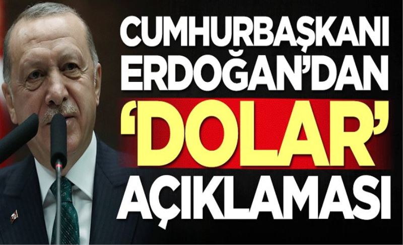 Başkan Erdoğan'dan dolar açıklaması