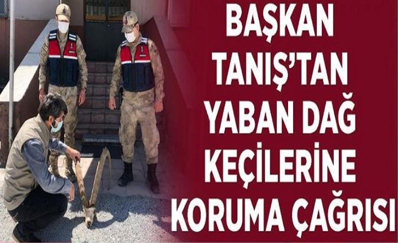 Başkan Tanış’tan yaban dağ keçilerine koruma çağrısı