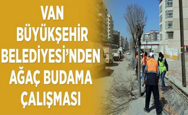 Büyükşehir’den ağaç budama çalışması