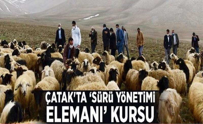 Çatak'ta ‘Sürü Yönetimi Elemanı’ kursu