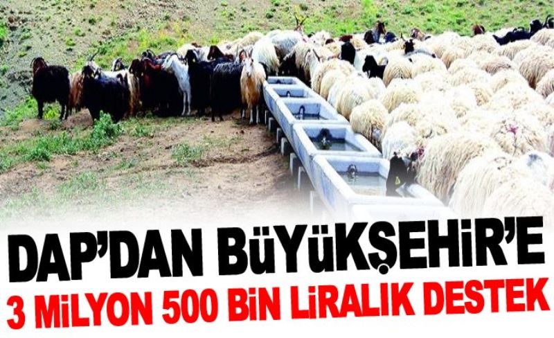 DAP’dan Büyükşehir’e 3 milyon 500 bin liralık destek