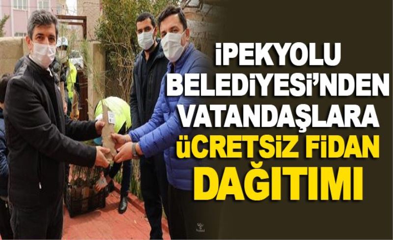 İpekyolu Belediyesi’nden vatandaşlara ücretsiz fidan dağıtımı