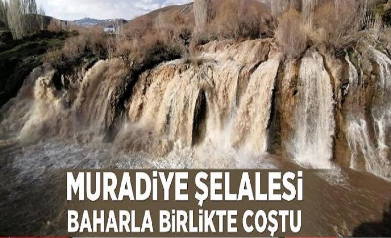 Muradiye Şelalesi baharla birlikte coştu