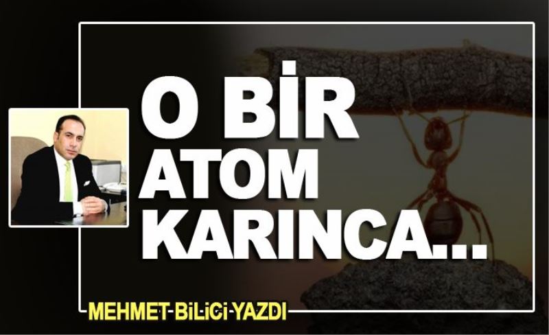 O BİR ATOM KARINCA…