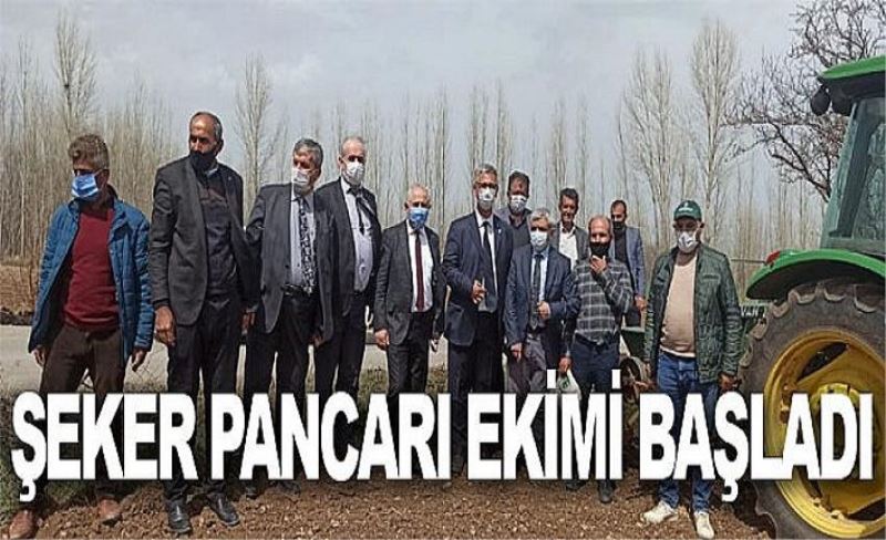 Şeker pancarı ekimi başladı