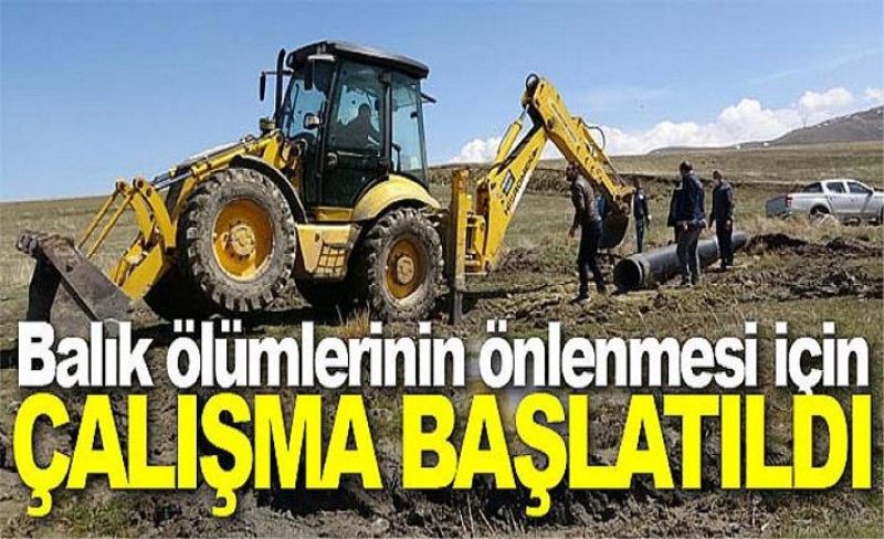 Tarım ekipleri Erçek Gölü’nde balıklar ölmesin diye tedbir aldı