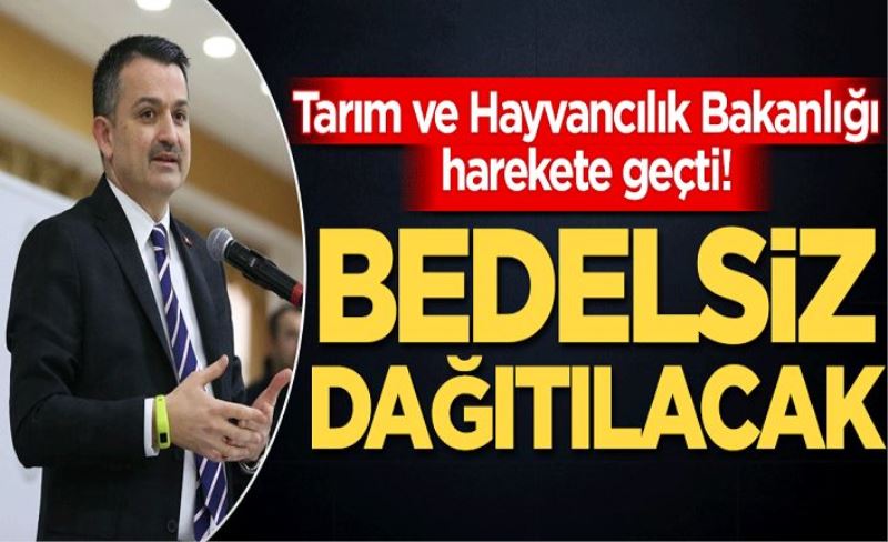 Tarım ve Hayvancılık Bakanlığı harekete geçti! Bedelsiz dağıtılacak