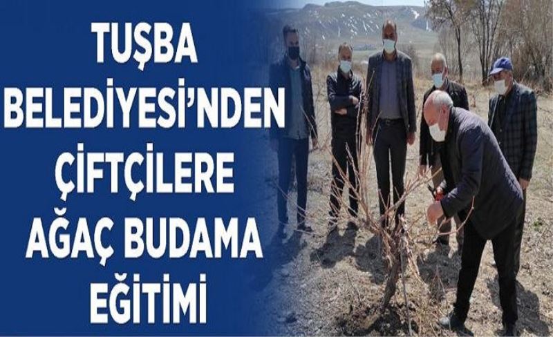 Tuşba Belediyesi’nden çiftçilere ağaç budama eğitimi