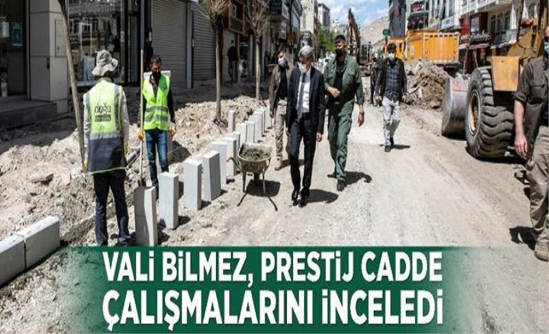 Vali Bilmez, prestij cadde çalışmalarını inceledi