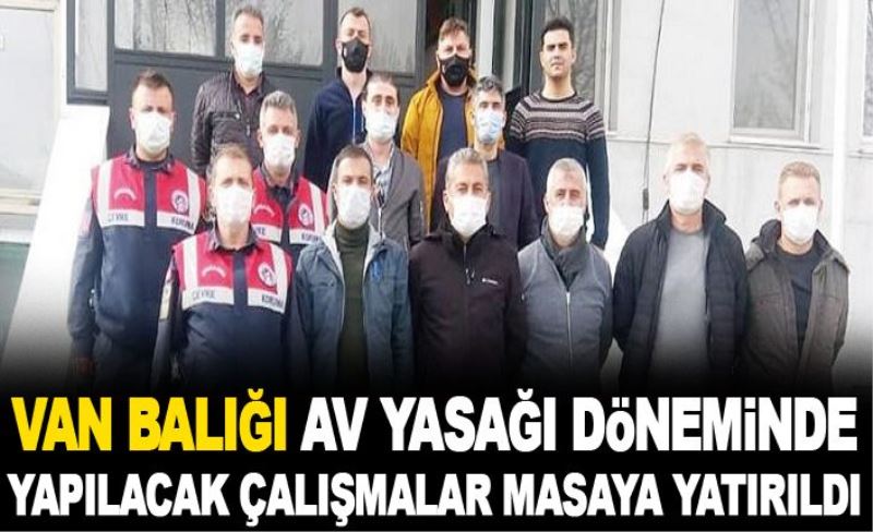 Van Balığı av yasağı döneminde yapılacak çalışmalar masaya yatırıldı