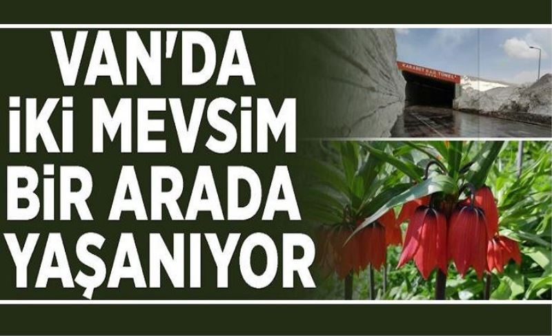 Van'da iki mevsim bir arada yaşanıyor