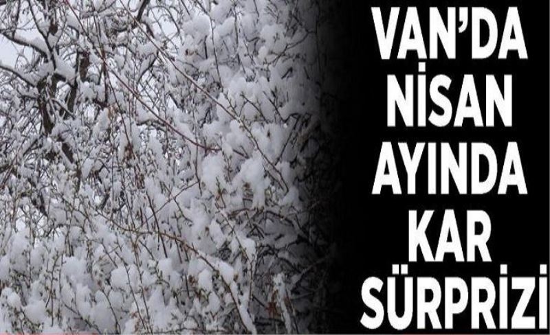 Van'da Nisan ayında kar sürprizi