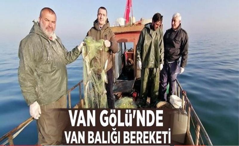 Van Gölü'nde Van Balığı bereketi