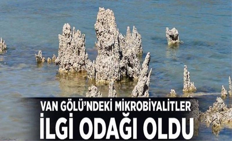 Van Gölü’ndeki mikrobiyalitler ilgi odağı oldu