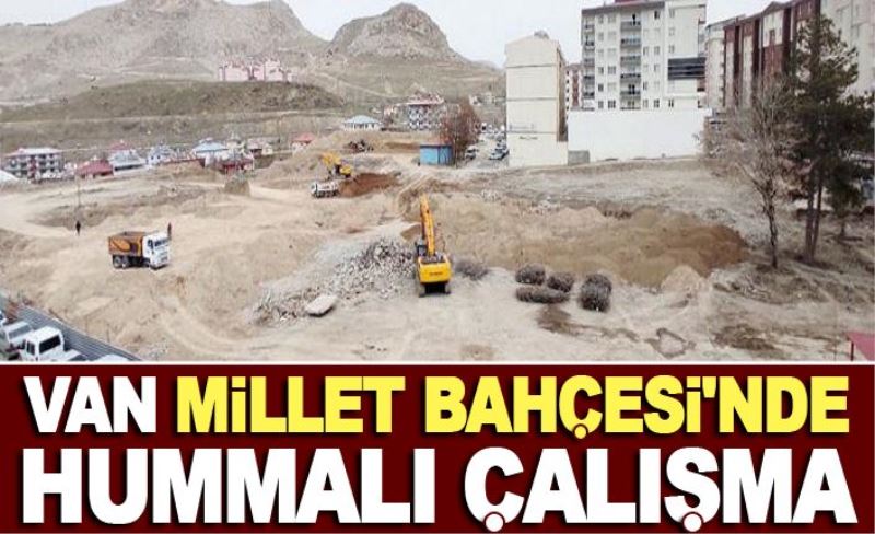 Van 'Millet Bahçesi'nde hummalı çalışma…