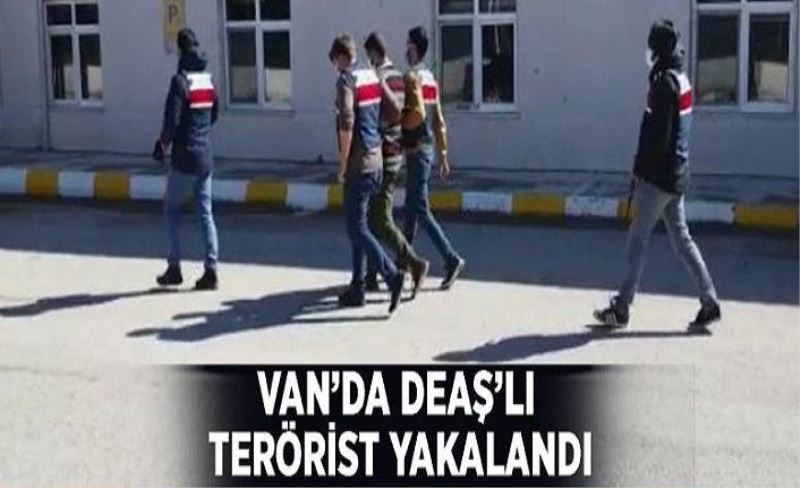 Van’da DEAŞ’lı terörist yakalandı