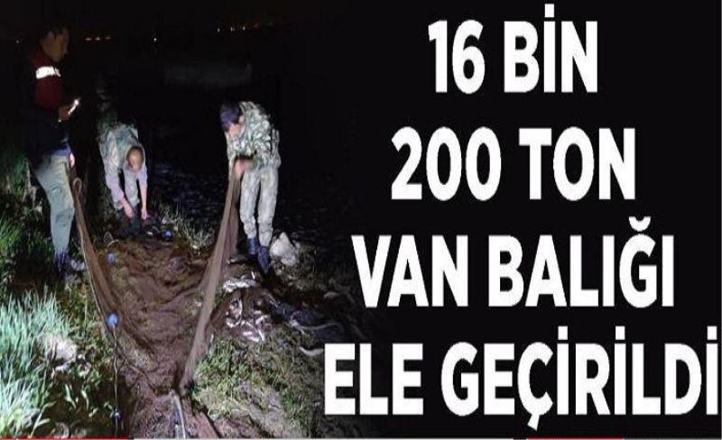 16 bin 200 ton Van Balığı ele geçirildi