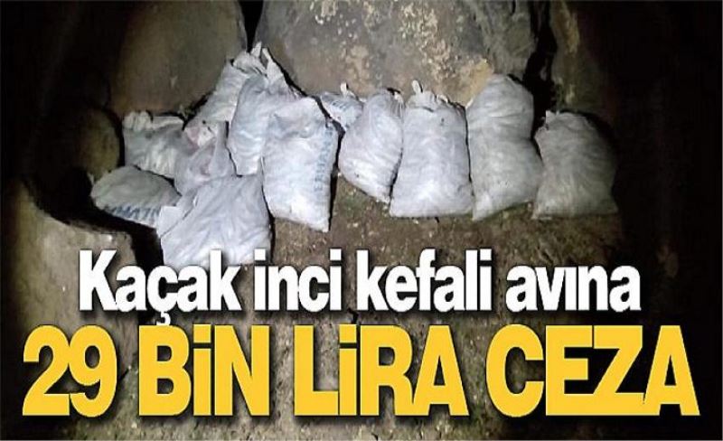 2,5 ton kaçak avlanmış inci kefali ele geçirildi, 29 bin TL ceza kesildi