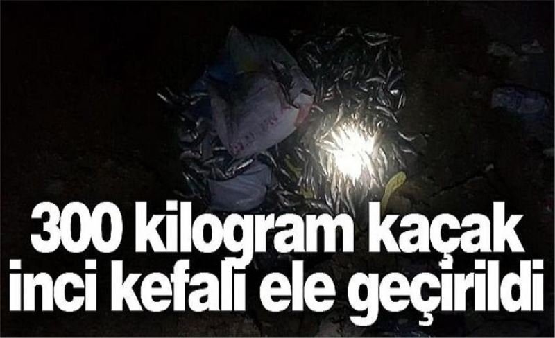 300 kilogram kaçak inci kefali ele geçirildi