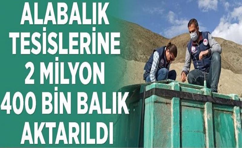 Alabalık tesislerine 2 milyon 400 bin balık aktarıldı