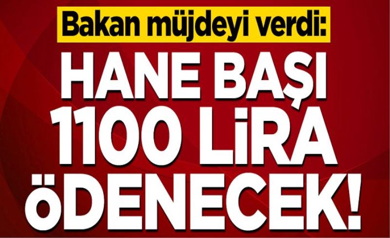 Bakan müjdeyi verdi! Hane başı 1100 lira ödenecek