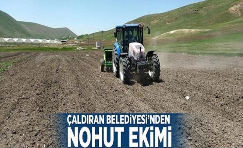 Çaldıran Belediyesi'nden nohut ekimi