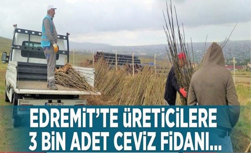 Edremit’te üreticilere 3 bin adet ceviz fidanı…