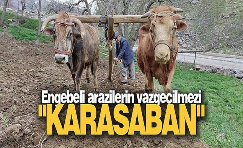 Engebeli arazilerin vazgeçilmezi "karasaban"