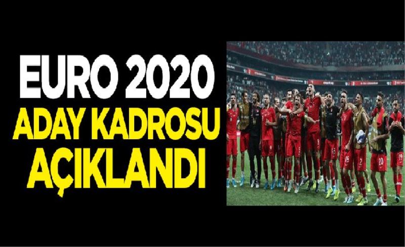 Euro 2020 aday kadrosu açıklandı