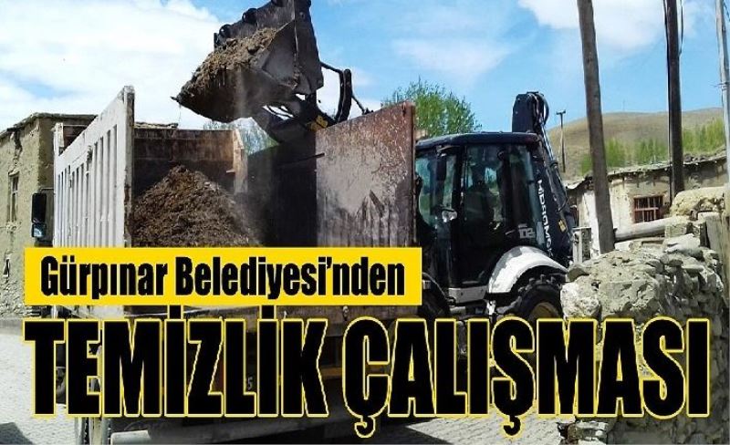 Gürpınar Belediyesi’nden temizlik çalışması