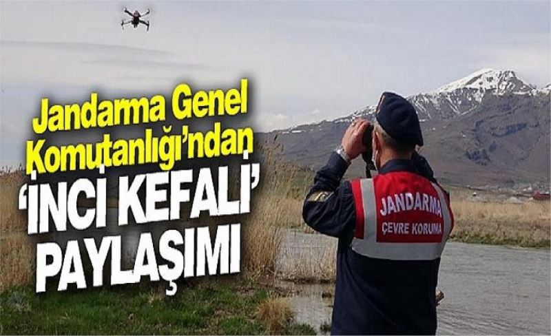 Jandarma Genel Komutanlığı’ndan ‘inci kefali’ paylaşımı