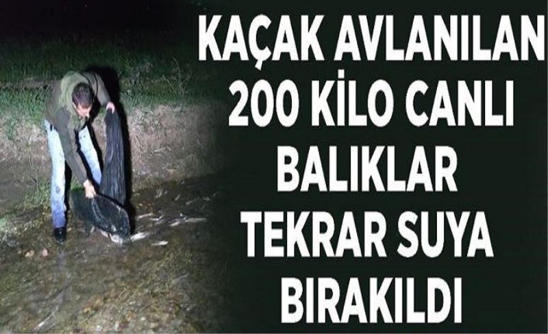 Kaçak avlanılan 200 kilo canlı balıklar tekrar suya bırakıldı