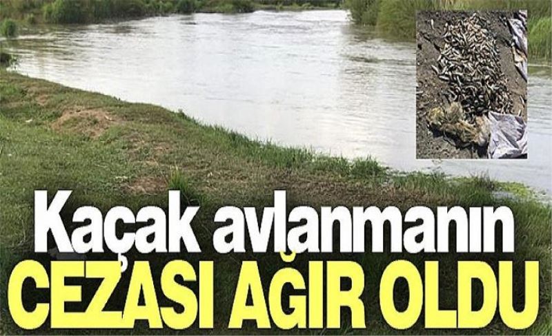 Kaçak avlanmanın cezası ağır oldu