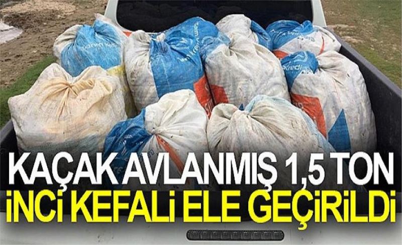 Kaçak avlanmış 1,5 ton inci kefali ele geçirildi