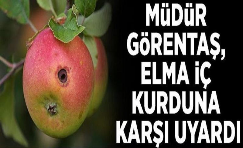 Müdür Görentaş, elma iç kurduna karşı uyardı