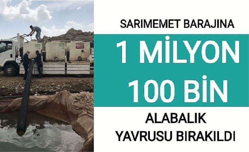 Sarımemet barajına 1 milyon 100 bin alabalık yavrusu bırakıldı