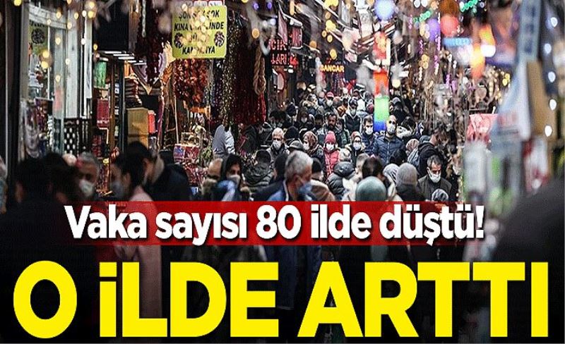 Vaka sayısı 80 ilde düştü! O ilde arttı