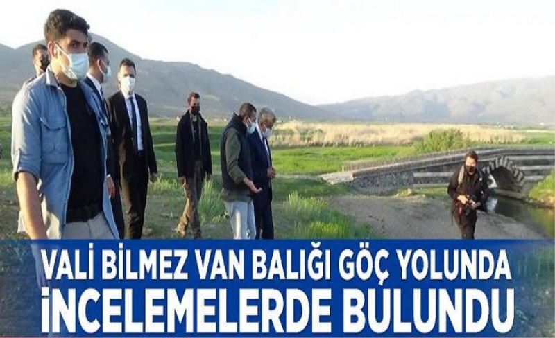 Vali Bilmez Van Balığı göç yolunda incelemelerde bulundu