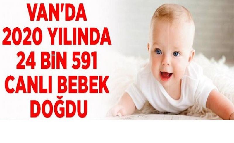 Van'da 2020 yılında 24 bin 591 canlı bebek doğdu