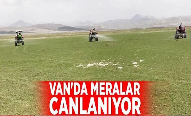 Van'da meralar canlanıyor