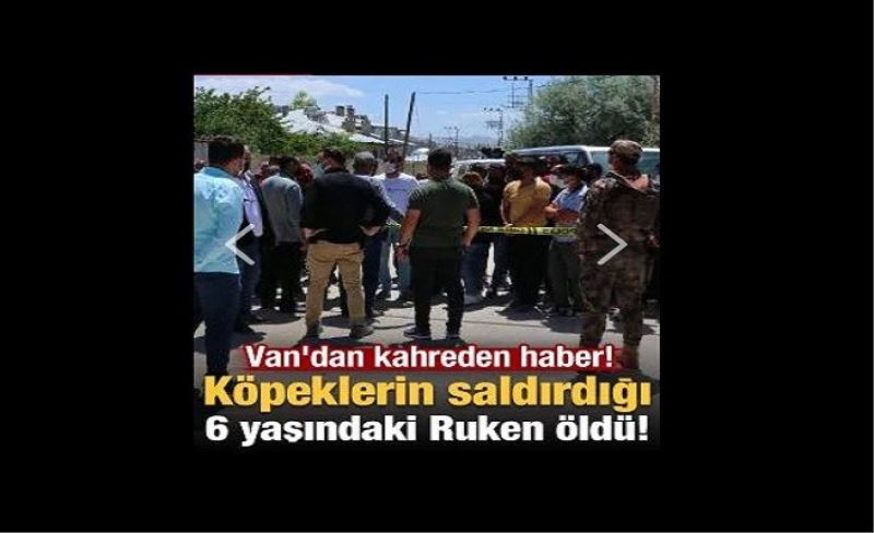 Van'dan kahreden haber! Köpeklerin saldırdığı 6 yaşındaki Ruken öldü