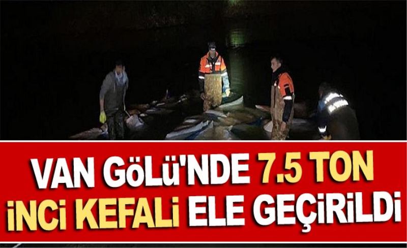 Van Gölü'nde 7.5 ton inci kefali ele geçirildi