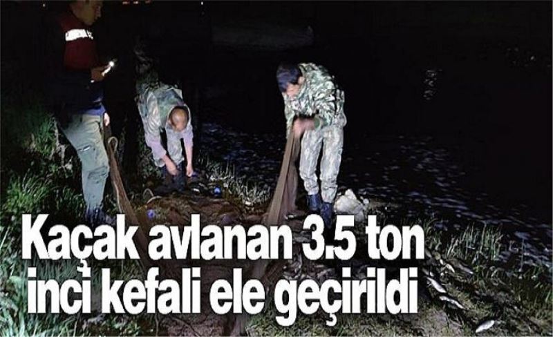 Van Gölü'nde kaçak avlanan 3.5 ton inci kefali ele geçirildi