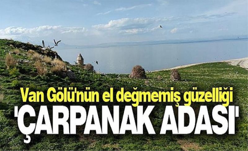 Van Gölü'nün el değmemiş güzelliği 'Çarpanak Adası' baharla bambaşka güzel