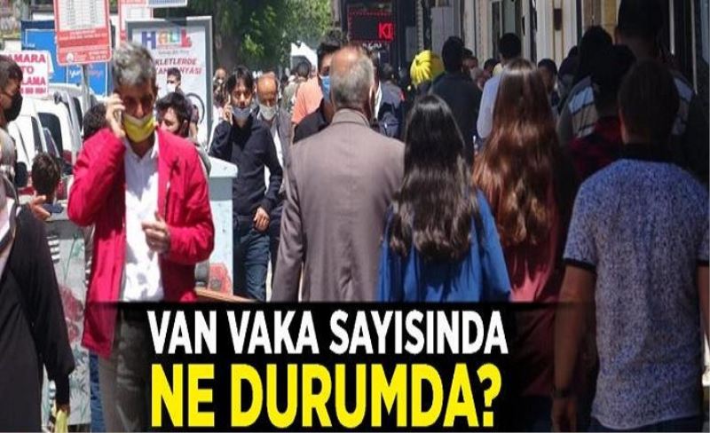 Van vaka sayısında ne durumda?